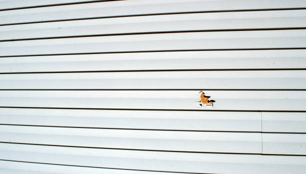 Best Residential Vinyl Siding Installation  in Wanaque, NJ