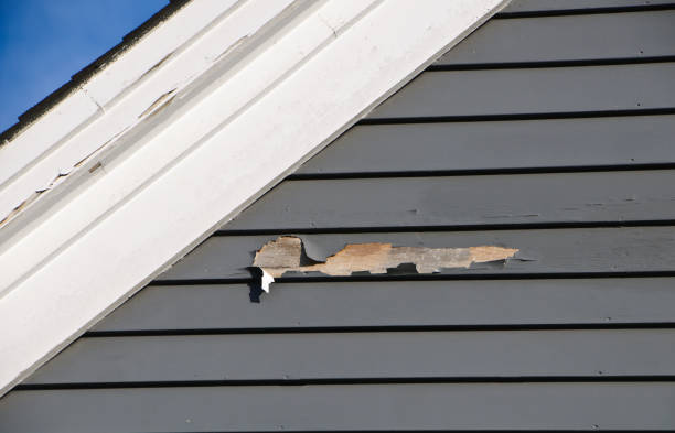 Best Stucco Siding  in Wanaque, NJ