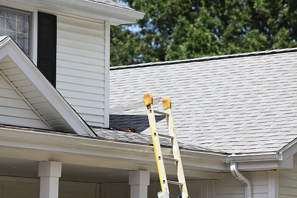 Best Custom Trim and Detailing for Siding  in Wanaque, NJ