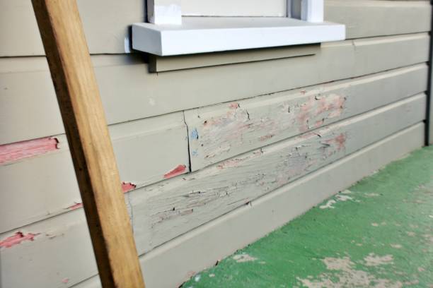 Best Steel Siding Installation  in Wanaque, NJ